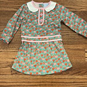 bella bliss Mint Dress with Pink & Orange Apple Print and White Peter Pan Collar